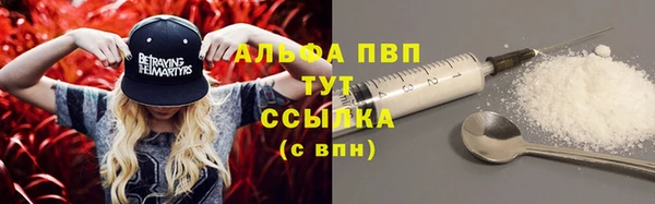 шишки Армянск