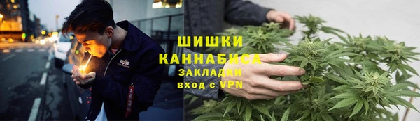 ПСИЛОЦИБИНОВЫЕ ГРИБЫ Арсеньев