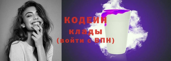 шишки Армянск