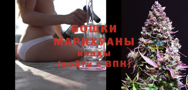 бошки Алзамай