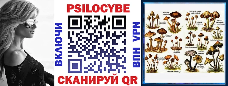 Псилоцибиновые грибы прущие грибы  Бологое 