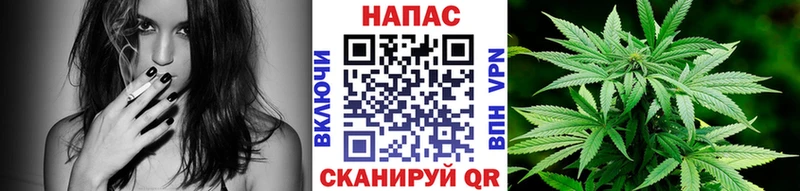 Конопля Bruce Banner  купить закладку  Бологое 